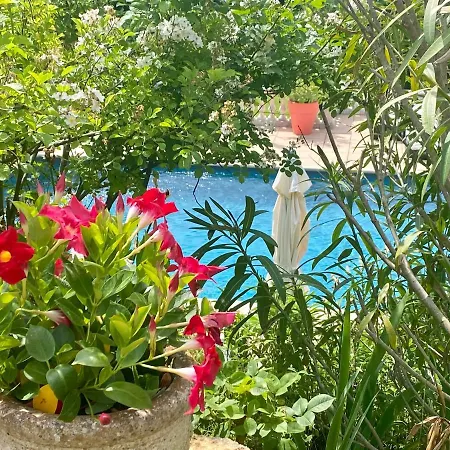 Des Roses Panzió Roussillon en Isere